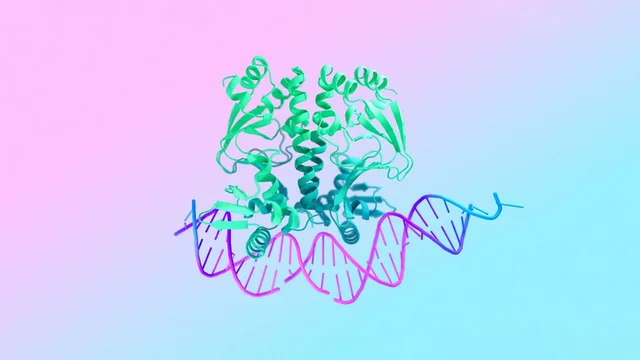 Google DeepMind и Isomorphic Labs представили AlphaFold 3